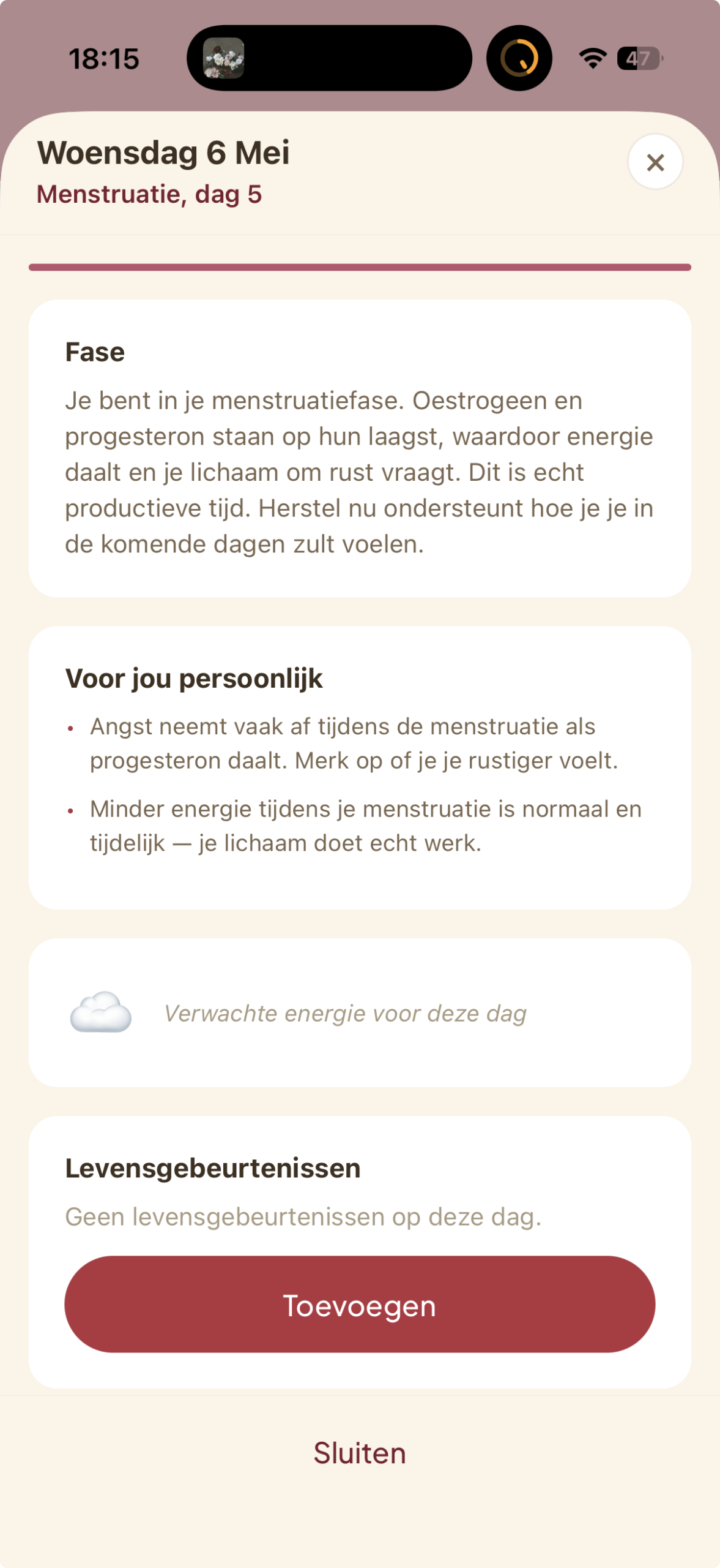 Voorspelde dag in Ritmiq